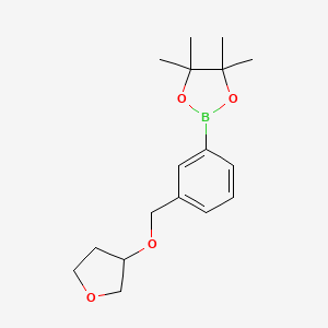 4,4,5,5-Tetramethyl-2-{3-[(oxolan-3-yloxy)methyl]phenyl}-1,3,2-dioxaborolane