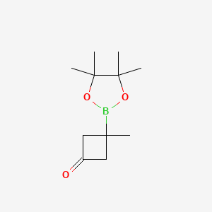 molecular formula C11H19BO3 B13626855 3-Methyl-3-(4,4,5,5-tetramethyl-1,3,2-dioxaborolan-2-yl)cyclobutan-1-one 