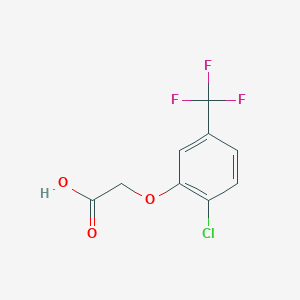 molecular formula C9H6ClF3O3 B13627508 2-[2-Chloro-5-(trifluoromethyl)phenoxy]acetic acid 