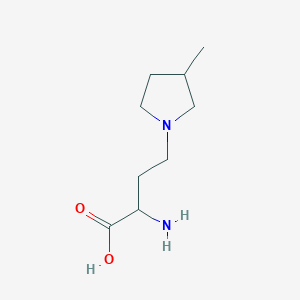 molecular formula C9H18N2O2 B13627787 2-Amino-4-(3-methylpyrrolidin-1-yl)butanoic acid 