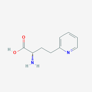 molecular formula C9H12N2O2 B13628798 (2S)-2-Amino-4-(pyridin-2-YL)butanoic acid 