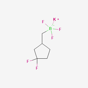 molecular formula C6H9BF5K B13628935 Potassium ((3,3-difluorocyclopentyl)methyl)trifluoroborate 