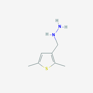 molecular formula C7H12N2S B13629436 ((2,5-Dimethylthiophen-3-yl)methyl)hydrazine 