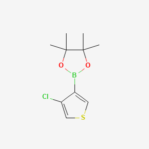 2-(4-Chlorothiophen-3-yl)-4,4,5,5-tetramethyl-1,3,2-dioxaborolane