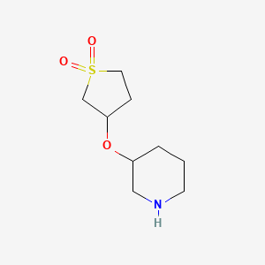 molecular formula C9H17NO3S B13630561 3-(Piperidin-3-yloxy)tetrahydrothiophene 1,1-dioxide 