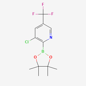 molecular formula C12H14BClF3NO2 B13631384 3-Chloro-5-(trifluoromethyl)-2-(4,4,5,5-tetramethyl-1,3,2-dioxaborolan-2-yl)pyridine 