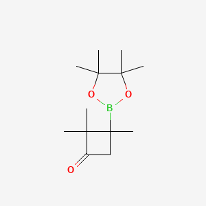 molecular formula C13H23BO3 B13631860 2,2,3-Trimethyl-3-(4,4,5,5-tetramethyl-1,3,2-dioxaborolan-2-yl)cyclobutan-1-one 