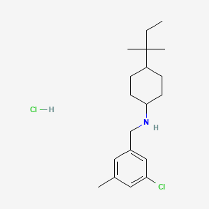 N-[(3-chloro-5-methylphenyl)methyl]-4-(2-methylbutan-2-yl)cyclohexan-1-amine hydrochloride