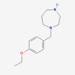 molecular formula C14H22N2O B13633844 1-(4-Ethoxybenzyl)-1,4-diazepane 