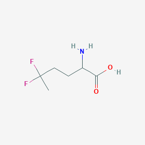 molecular formula C6H11F2NO2 B13635151 2-Amino-5,5-difluorohexanoic acid 