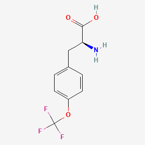 molecular formula C10H10F3NO3 B1363539 (2S)-2-amino-3-[4-(trifluoromethoxy)phenyl]propanoic acid CAS No. 131123-44-9