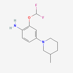 molecular formula C13H18F2N2O B13636139 2-(Difluoromethoxy)-4-(3-methylpiperidin-1-yl)aniline 