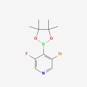 molecular formula C11H14BBrFNO2 B13636483 3-Bromo-5-fluoro-4-(4,4,5,5-tetramethyl-1,3,2-dioxaborolan-2-YL)pyridine 