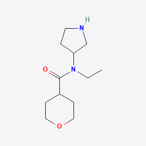 molecular formula C12H22N2O2 B13637078 N-ethyl-N-(pyrrolidin-3-yl)oxane-4-carboxamide 