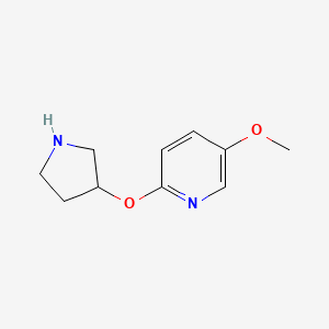 molecular formula C10H14N2O2 B13637408 5-Methoxy-2-(pyrrolidin-3-yloxy)pyridine 