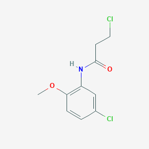 molecular formula C10H11Cl2NO2 B1363774 3-chloro-N-(5-chloro-2-methoxyphenyl)propanamide CAS No. 346726-62-3