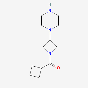 molecular formula C12H21N3O B13638094 Cyclobutyl(3-(piperazin-1-yl)azetidin-1-yl)methanone 