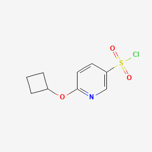 6-Cyclobutoxypyridine-3-sulfonyl chloride