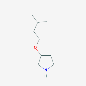 molecular formula C9H19NO B13640725 3-(Isopentyloxy)pyrrolidine 