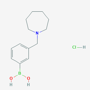 molecular formula C13H21BClNO2 B13641298 (3-(Azepan-1-ylmethyl)phenyl)boronic acid hydrochloride 