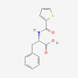 molecular formula C14H13NO3S B13641559 (2S)-3-phenyl-2-(thiophene-2-carbonylamino)propanoic acid 