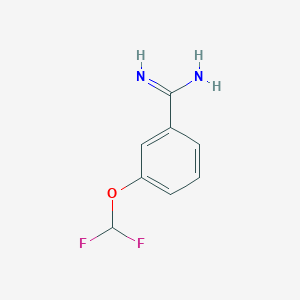 3-(Difluoromethoxy)benzimidamide