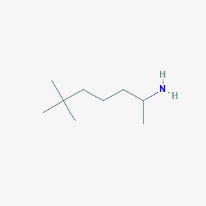 molecular formula C9H21N B13645253 6,6-Dimethylheptan-2-amine 