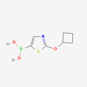 (2-Cyclobutoxythiazol-5-yl)boronic acid