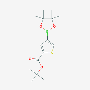 tert-Butyl 4-(4,4,5,5-tetramethyl-1,3,2-dioxaborolan-2-yl)thiophene-2-carboxylate