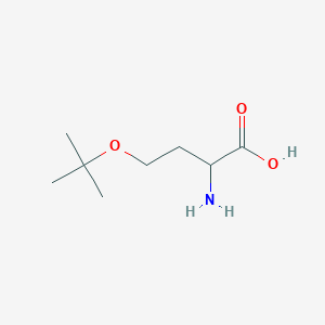 2-Amino-4-(tert-butoxy)butanoic acid