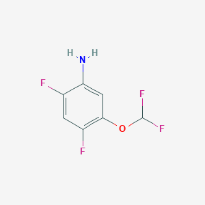 molecular formula C7H5F4NO B13648071 5-(Difluoromethoxy)-2,4-difluoroaniline 