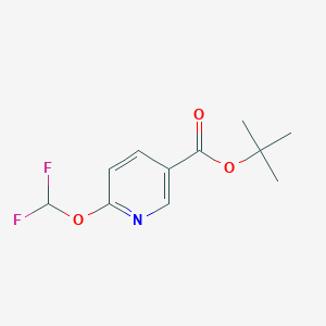 molecular formula C11H13F2NO3 B13649507 tert-Butyl 6-(difluoromethoxy)nicotinate 