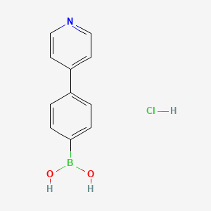 molecular formula C11H11BClNO2 B13650130 (4-(Pyridin-4-yl)phenyl)boronic acid hydrochloride 