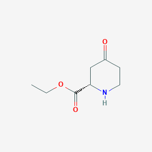 molecular formula C8H13NO3 B13651527 (S)-Ethyl 4-oxopiperidine-2-carboxylate 