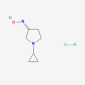 (NZ)-N-(1-cyclopropylpyrrolidin-3-ylidene)hydroxylamine;hydrochloride