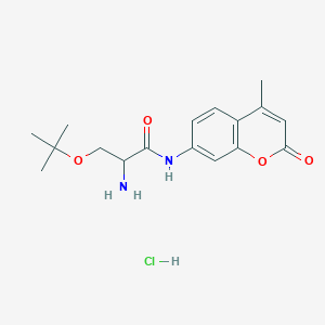 2-amino-N-(4-methyl-2-oxochromen-7-yl)-3-[(2-methylpropan-2-yl)oxy]propanamide;hydrochloride