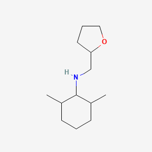 2,6-dimethyl-N-[(oxolan-2-yl)methyl]cyclohexan-1-amine