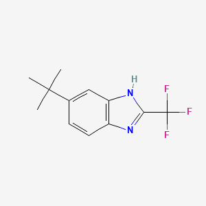 6-tert-butyl-2-(trifluoromethyl)-1H-benzimidazole