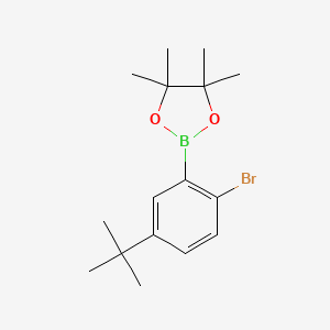 2-Bromo-5-(tert-butyl)phenylboronic Acid Pinacol Ester