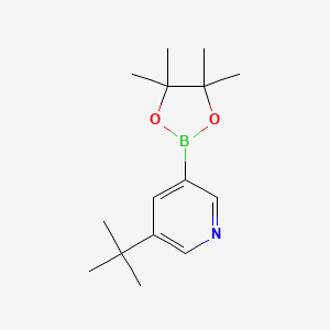 3-(tert-Butyl)-5-(4,4,5,5-tetramethyl-1,3,2-dioxaborolan-2-yl)pyridine