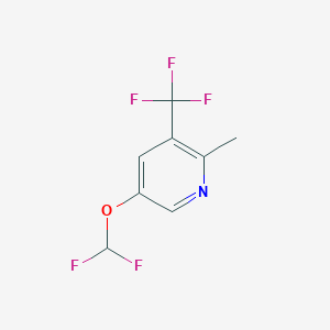 molecular formula C8H6F5NO B13677196 5-(Difluoromethoxy)-2-methyl-3-(trifluoromethyl)pyridine 