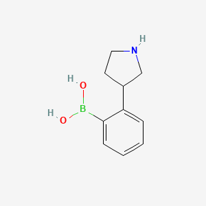 molecular formula C10H14BNO2 B13681847 2-(3-Pyrrolidinyl)phenylboronic Acid 