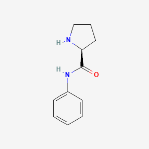 molecular formula C11H14N2O B1368201 (S)-N-苯基-2-吡咯烷甲酰胺 CAS No. 64030-43-9