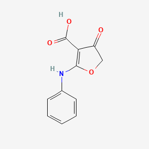 molecular formula C11H9NO4 B1368206 2-苯胺基-4-氧代-4,5-二氢呋喃-3-羧酸 CAS No. 58337-23-8