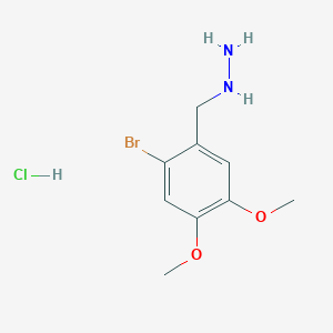molecular formula C9H14BrClN2O2 B1368447 (2-溴-4,5-二甲氧基苄基)肼盐酸盐 CAS No. 887596-58-9