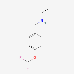 molecular formula C10H13F2NO B1368538 N-[4-(Difluoromethoxy)benzyl]-N-ethylamine 
