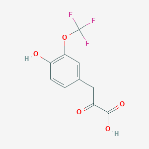 molecular formula C10H7F3O5 B13686486 3-[4-Hydroxy-3-(trifluoromethoxy)phenyl]-2-oxopropanoic acid 