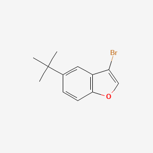 molecular formula C12H13BrO B13687538 3-Bromo-5-(tert-butyl)benzofuran 