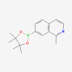 molecular formula C16H20BNO2 B13688909 1-Methylisoquinoline-7-boronic Acid Pinacol Ester 