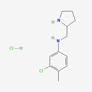 molecular formula C12H18Cl2N2 B1369137 3-氯-4-甲基-N-(2-吡咯烷基甲基)苯胺盐酸盐 CAS No. 1177342-87-8